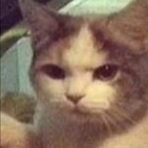 Meet your Posher, Marilyn